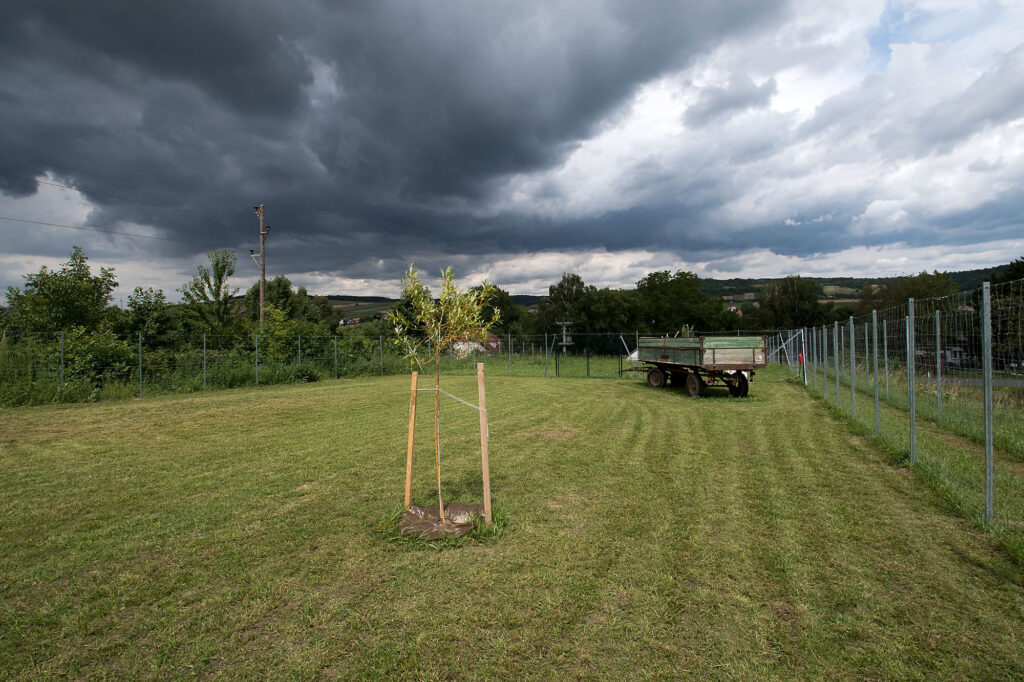 2000qm Freilauffläche im Wuffparadies - Foto: Joachim Hoffleit